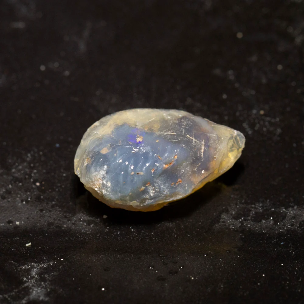 13.97 ct opal fossilised shell 22.1x13.8x10mm