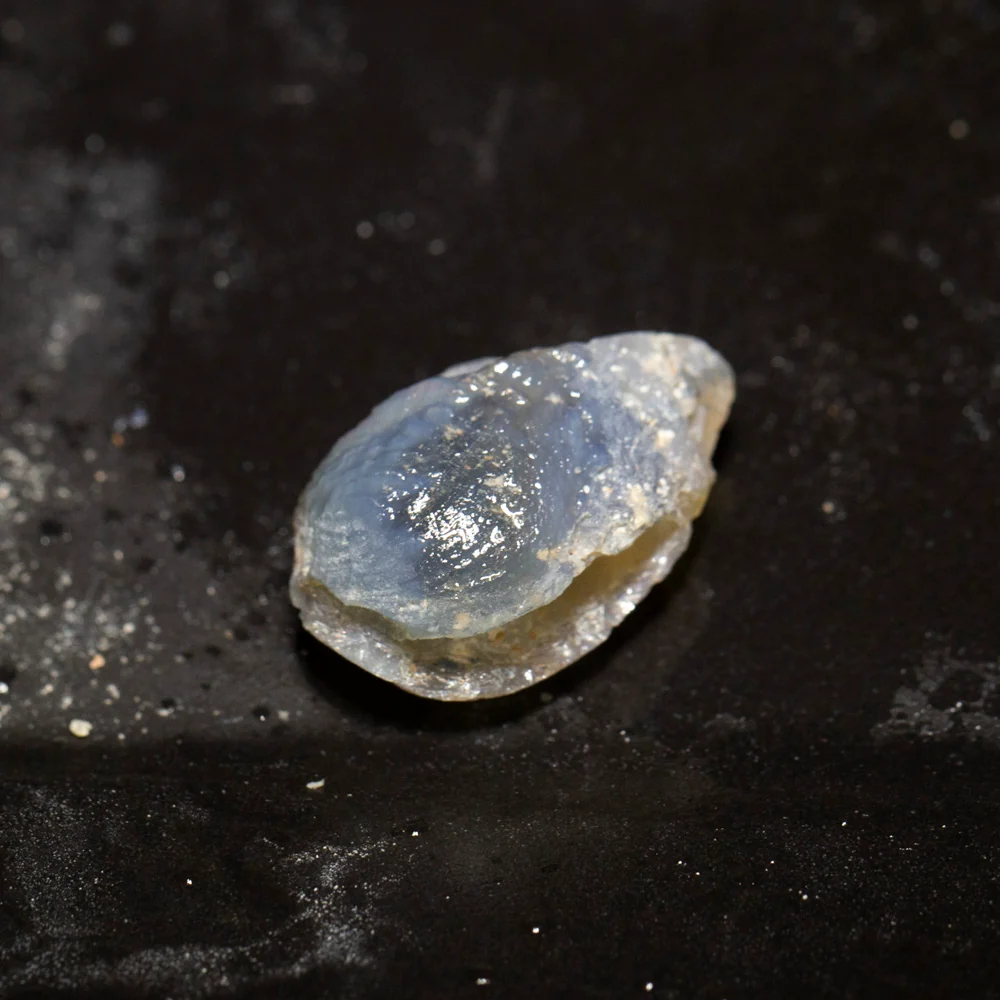 13.97 ct opal fossilised shell 22.1x13.8x10mm - Image 2