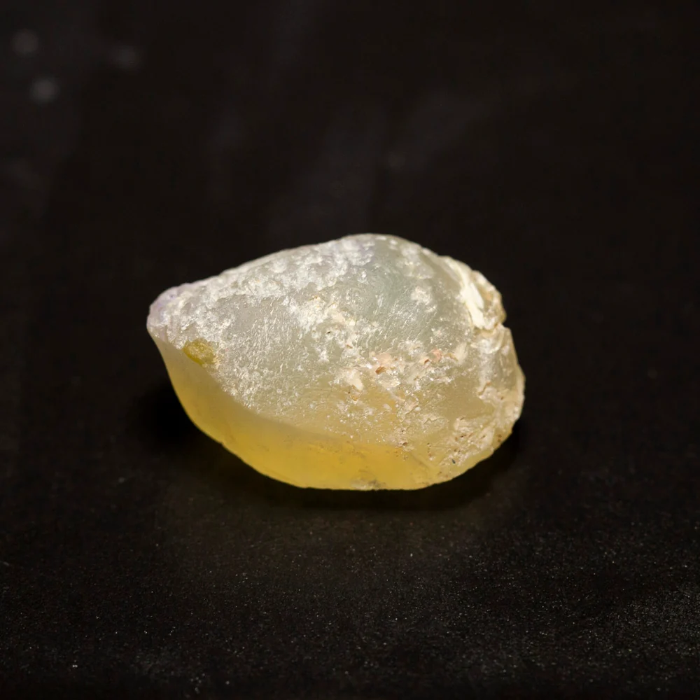 16.10 ct opal fossilised shell 21.3x13.7x11.1mm