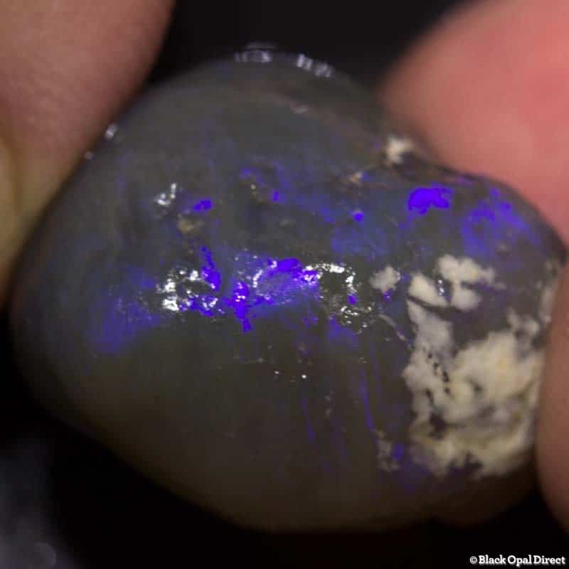 52 ct rough opal piece 24mm across
